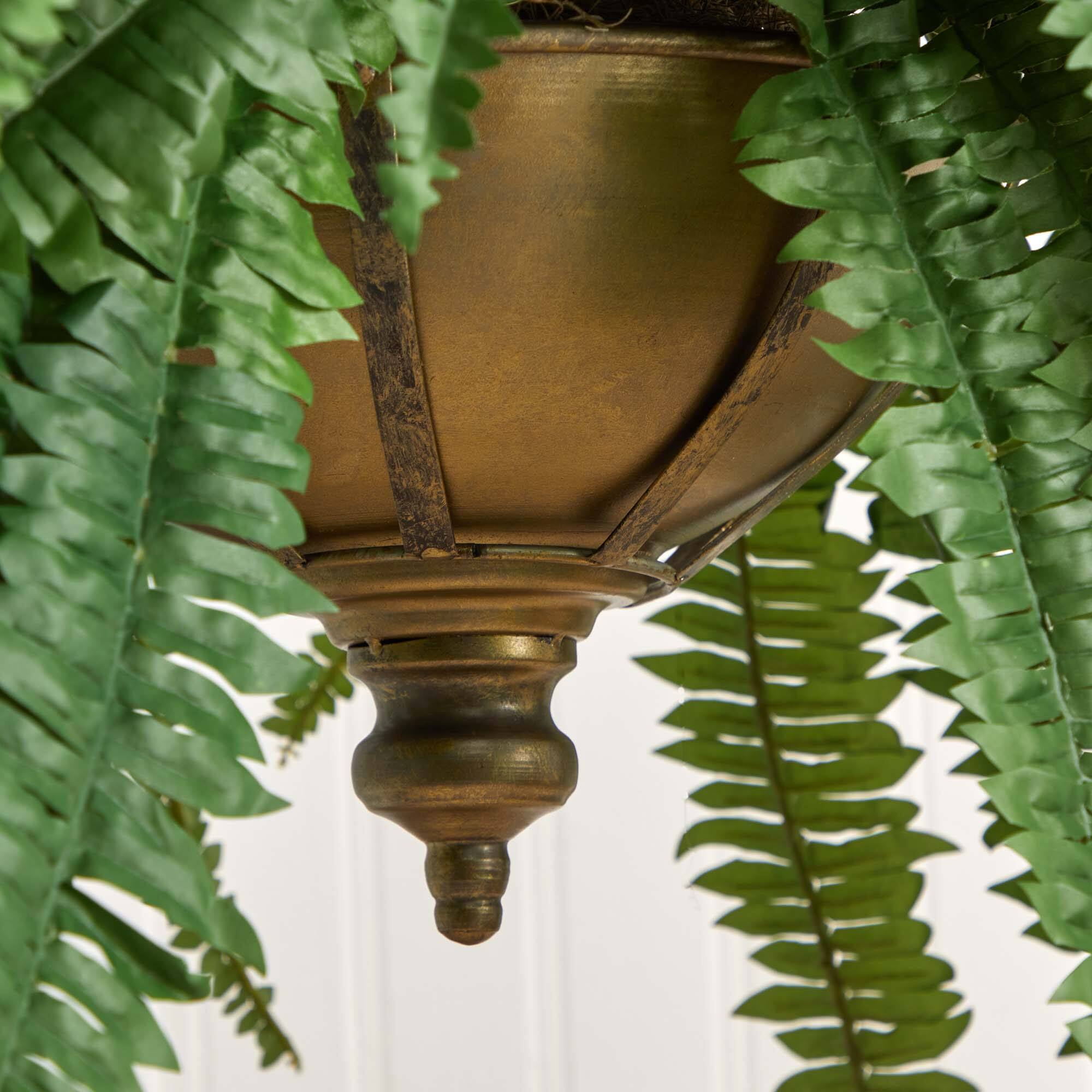 3ft. Boston Fern Plant in Metal Hanging Bowl